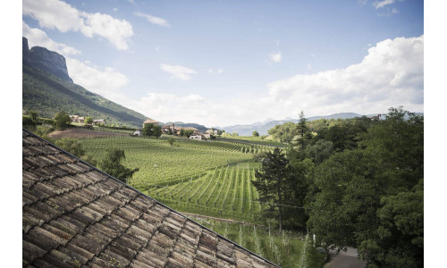 Un'immagine della cantina Stroblhof di Appiano Sulla Strada Del Vino in Alto Adige Oltradige