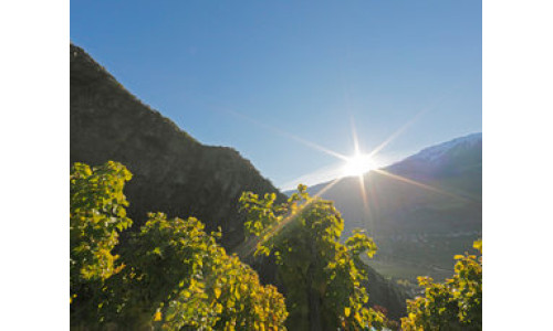 Un'immagine della cantina Unterortl di Ciardes in Alto Adige Val Venosta