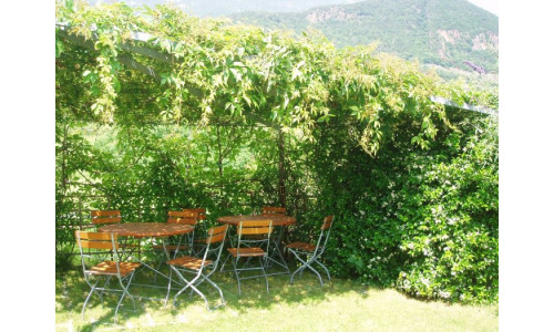 Un'immagine della cantina Prälatenhof di Caldaro sulla Strada del Vino in Alto Adige Oltradige